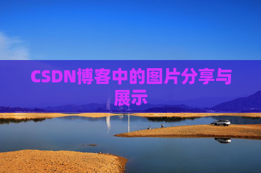 CSDN博客中的图片分享与展示